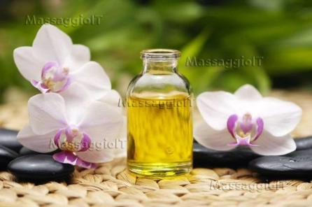 Massaggiatrice Padova New- body massage erotico- nuru massage-black-out massage e prostatico e molto altro