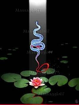Massaggiatrice Varese MASSAGGIATRICE TANTRA - 3511875435