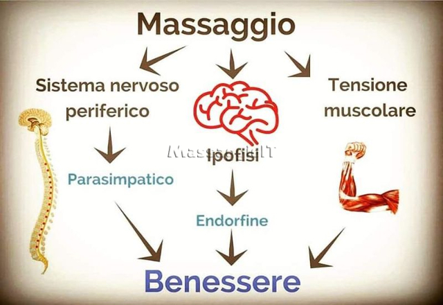 Massaggiatrice Bergamo Massaggiatrice professionista italiana