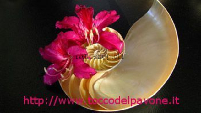 Massaggiatrice Lucca LUCCA/Viareggio TANTRArt  SENSUALE TANTRA TAO THAI ToccodelPavone Passione Oscura