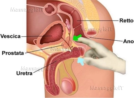 Massaggiatrice Torino IL VERO MASSAGGIO PROSTATICO ESEGUITO CON COMPETENZA DA MASSAGGIATRICE ESPERTA E QUALIFICATA PER AMPLIFICARE AL MASSIMO LE PIACEVOLI SENSAZIONI E I BENEFICI CHE NE CONSEGUONO