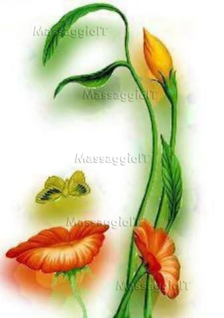 Massaggiatrice Torino massaggi nudisti