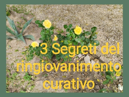 Massaggiatore Rovigo Servizi di Relax e Benessere Naturale, massaggiatore esperto a Rovigo