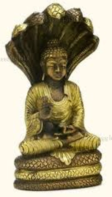 Massaggiatrice Firenze FIRENZE prov./dint.Pisa/Lucca A VIAREGGIO MASSAGGI SENSUALI