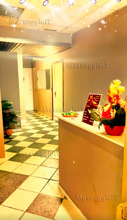 Massaggiatrice Alessandria Massaggio cinese NUOVA RAGAZZA