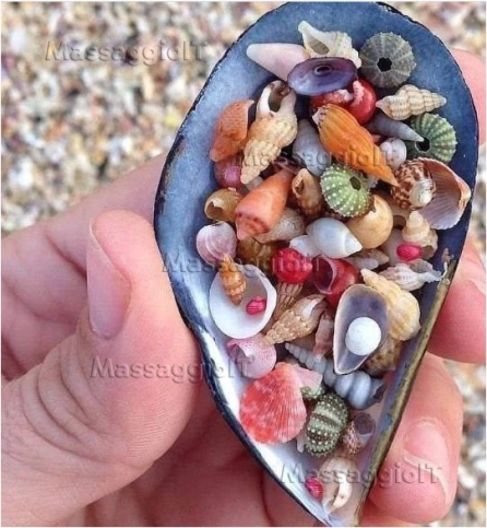 Massaggiatore Vicenza massaggi per coppia o donna vicenza lettone disponibile per voi