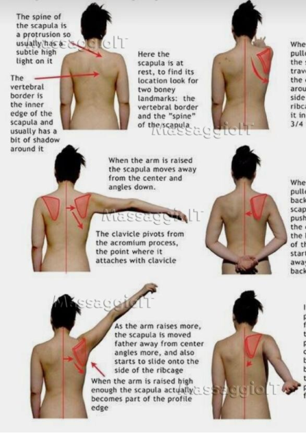 Massaggiatrice Catania La regina dei massaggi. Il top del benessere.
