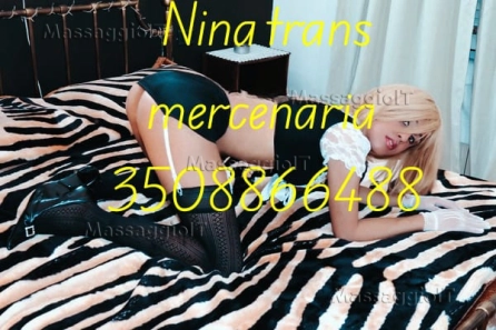 Massaggiatrice Ancona Massaggiatrice Trans