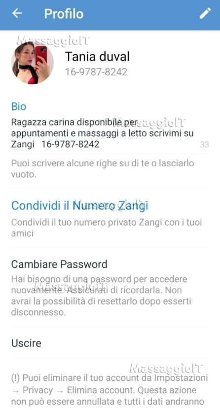 Massaggiatrice Vicenza Bella ragazza disponibile per incontri sessuali e massaggi, scrivimi su Zangi.