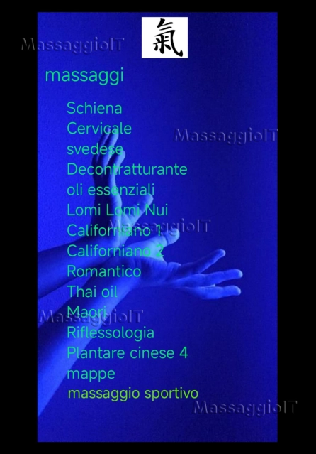 Foto 1 Indaco Massaggiatore a Treviso